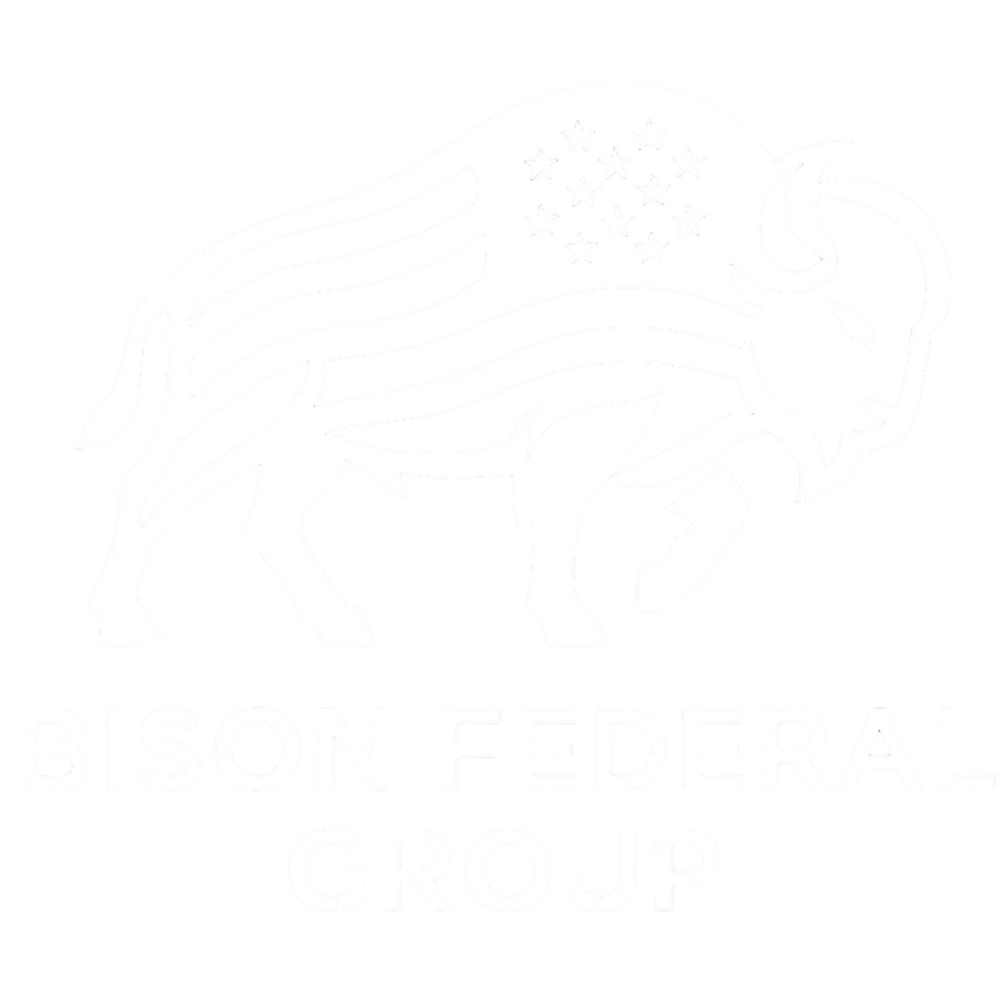Bison Federal Group